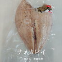 青森県産 サメカレイ 一夜干し