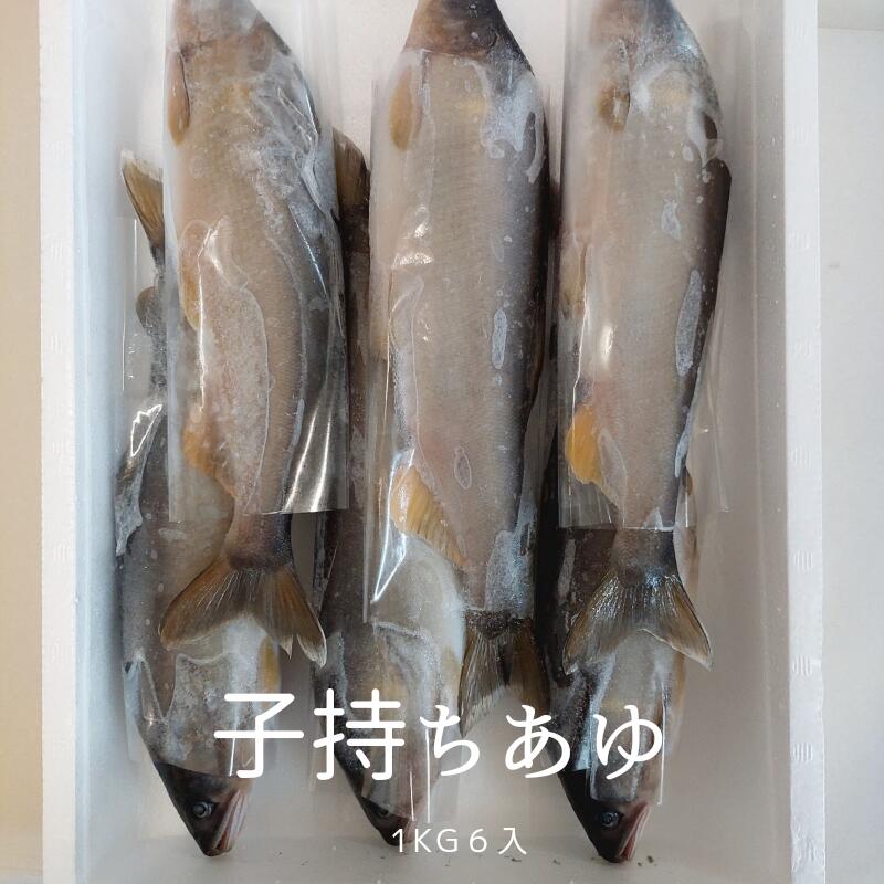 【送料無料】加熱用 有頭 鮎 1kg （6尾入）