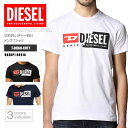 DIESEL fB[[ TVc N[lbN  00SDP1 0091A T-DIEGO-CUTY S Xeb` DS41353SL [֑