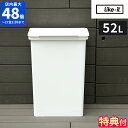 【特典付】ゴミ箱 ライクイット like-it 分別ができるトラッシュビン52 ごみ箱 52リットル ふた付き おしゃれ フタ付 蓋 屋外 スリム シンプル ダストボックス 52L 分別ごみ箱 開けたまま キャスター付 大容量 キッチン ダイニング ベランダ 庭 LBD-105【ポイント2倍】