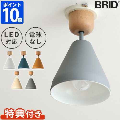 【特典付】オリカ カラー＆ウッド 1灯シーリング Olika COLOR & WOOD 1BULB CEILING LIGHT 電球なし 照明 LED対応 BRID【ポイント10倍】