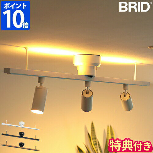 【特典付】ライティングレール BRID ライティング ダクトレール with LED 照明 簡...