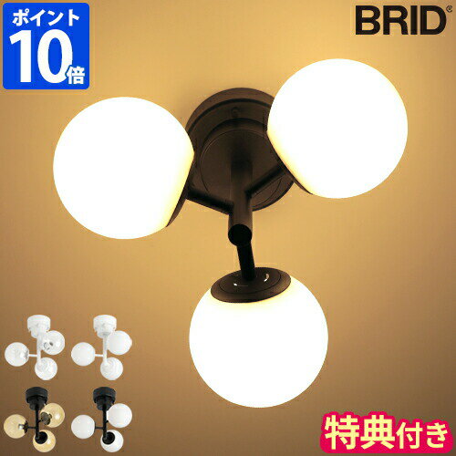  Tt V[OCg BRID TINY GLASS CEILING LIGHT 3 ^Cj[ KX V[OCg 3  VƖ LEDdΉ LEDƖ Ɩ KXVF[h {[VF[h RpNg CeA   i` Vv ubh 003364   