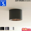 ライト 【特典付】天井照明 アートワークスタジオ ARTWORKSTUDIO イブシーリングライト Eve-ceiling light おしゃれ ダウンライト 1灯 LED専用 LEDライト 天井直付け 引掛けシーリング 簡単取り付け 電球なし スチール シンプル 玄関 ギフト プレゼント AW-0635Z【ポイント10倍】