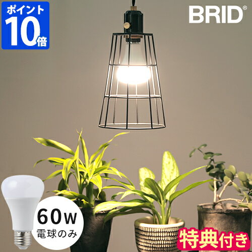 【特典付】LED電球 BRID プランツライト 60 PLANTS LIGHT60 WARM COOL E26 60W相当 LEDライト 植物用ライト 植物用照明 led照明 植物育成 観葉植物 グリーン 室内 光合成 自然光 電球色 昼白色…