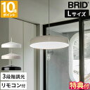 【特典付】ペンダントライト BRID EON LED PENDANT LIGHT L シンプル イオン LED ペンダントライト LED照明 照明器具 インテリ...