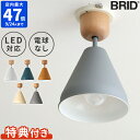 特典付き【ポイント10倍】オリカ カラー＆ウッド 1灯シーリング Olika COLOR WOOD 1BULB CEILING LIGHT 電球なし 照明 LED対応 BRID】