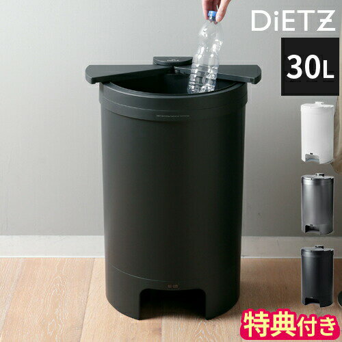 【特典付】ゴミ箱 ディーツ DiETZ DustBox30 VA-DIETZ-SO30 30L 30リットル 自動開閉 フットセンサー 人感センサー おしゃれ ごみ箱 ダストボックス ふた付き 自動センサー 自動開閉ゴミ箱 自動ゴミ箱 センサー付き 足元センサー 横開き シンプル キッチン【ポイント10倍】