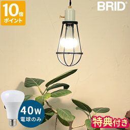 【特典付】LED電球 BRID プランツライト 40 PLANTS LIGHT40 WARM COOL E26 40W相当 LEDライト 植物用ライト 植物用照明 led照明 植物育成 観葉植物 グリーン 室内 光合成 自然光 電球色 昼白色 リビング 玄関 ハーブ 野菜 ギフト プレゼント 003379 003381【ポイント10倍】