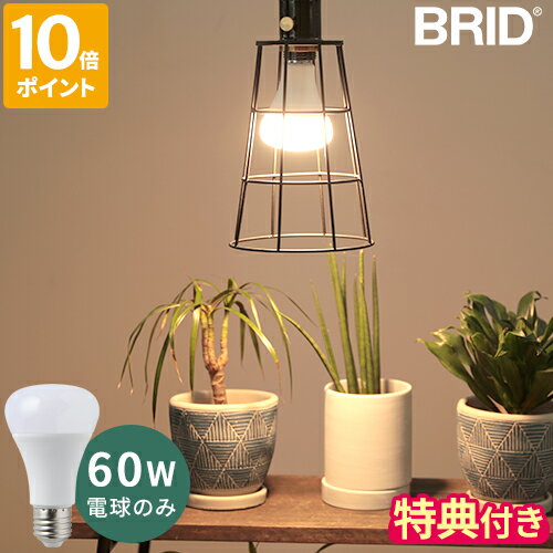 【特典付】LED電球 BRID プランツライト 60 PLANTS LIGHT60 WARM COOL E26 60W相当 LEDライト 植物用ライト 植物用照明 led照明 植物育成 観葉植物 グリーン 室内 光合成 自然光 電球色 昼白色…