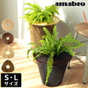 プランターテーブル amabro アマブロ ウッド サークル トライアングル トレイ Sサイズ Lサイズ プランターカバー 木製 天然木 トレー 鉢植え 植木鉢...