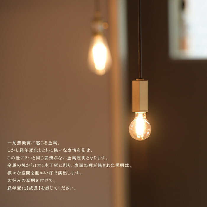 ペンダントライト【受注生産品】CTSH LIGHT CIRCLE アイアン ブラッククロム E17 ライト おしゃれ 照明 ライト ブラス 金属 金属照明 キッチン ダイニング CTSHLIGHT CTSH [3]