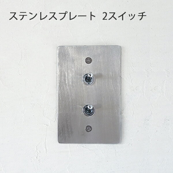ƥ쥹ץ졼ȡ2å ꥫ US å ƥ쥹 ꥫ󥹥å ӥơ ƥƥswitc...