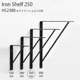 Iron Shelf 250【Iron Shelf シェルフ 棚 アクシス 壁面収納 鉄 インテリア デザイン おしゃれ 】