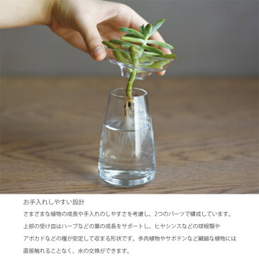 AQUA CULTURE VASE S【花瓶 花器 フラワーベース ガラス シンプル 植物 花 球根 キントー KINTO】消費者還元