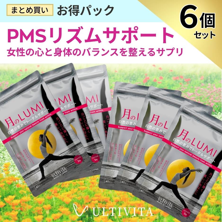 【お得な6個セット】日本製 無添加★月のLUMI PMS サプリ チェストツリー エクオール ジンジャー マグネ..