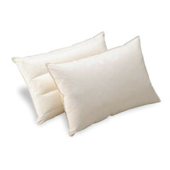 https://thumbnail.image.rakuten.co.jp/@0_mall/hotel-room/cabinet/pillow/imgrc0078957062.jpg