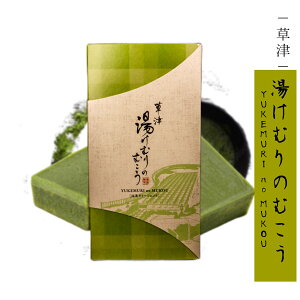 【湯けむりのむこう】 草津温泉 お土産 抹茶 スイーツ 菓子 群馬 草津町 草津 温泉 ギフト ミニギフト プチギフト プレゼント お土産 チョコレート ガトーショコラ 群馬 個包装 抹茶スイーツ 手土産 贈り物 お菓子 帰省土産 ハロウィン