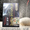 【おっきりこみうどん 三人前】 群馬 草津 温泉 ギフト プレゼント お土産 うどん おっきりこっみ おきりこみ 半生 群馬県産 食品 麺類 ご当地