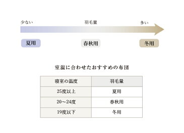 春秋用 ダブル 190cmx210cm 羽毛布団 800フィルパワーポーランド産ホワイトマザーグースダウン ダウンブランケット 送料無料