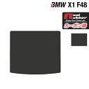 BMW X1 (F48) トランクマット ラゲッジ