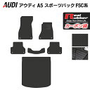 【4/24(水)20:00～ P5倍】AUDI アウディ A5 スポーツバック F5C系 F5D系 フロアマット トランクマット ラゲッジマット ◆カーボンファイバー調 リアルラバー HOTFIELD 『送料無料 マット 車 運転席 助手席 カーマット 日本製 ホットフィールド』