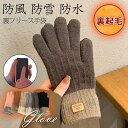 手袋 グローブ レディース 裏起毛 ボア スマホ対応 手ぶくろ 防寒グローブ あったか 冬 スポーツ ハイキング 自転車用 釣り 暖かい 通勤 通学