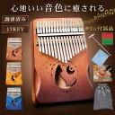 カリンバ 楽器 親指ピアノ 民族楽器 karinba ハードケース付 17キー 指ピアノ ハンドオルゴール かわいい 猫 日本語マニュアル