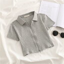 クロップド丈リブ襟付き半袖Tシャツ レディース クロップド丈tシャツ 夏 デイリー 半袖Tシャツ レディース ショート丈 半袖 ショート丈 リブトップス 半袖T...
