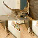 ペットドア 穴あけ 不要 猫ドア 工事不要 猫 ドア 後付け 猫用ドア 犬用ドア 猫 賃貸 キャットドア 中型犬 大型犬 可能 diy 穴あけ不要 開き戸 半自...