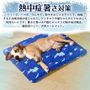 送料無料 ペットベッド 夏 クールマット ペット ひんやり ペットマット 冷却 マット ジェル シート クール マット 冷感マット 夏用 犬 猫 接触冷感