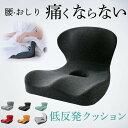 座布団 座椅子 骨盤サポートチェア クッション 低反発 腰痛対策 姿勢矯正 体圧分散 一部即納 オフィス デスクワーク 産後 猫背矯正 車 敬老の日 ギフト