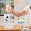 加湿器 卓上加湿器 乾燥対策 大容量 3L 軽量 600g LEDライト 持ち運び便利 パワフル加湿 低騒音 省エネ 安全 部屋 寝室 家庭用