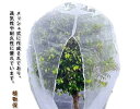 野菜栽培 植物保護袋 網 DIY 家庭菜園 防虫ネット ジッパー付き 鉢植え用 防鳥ネット ファスナー付き ベランダ 植物保護カバー 果樹園 みかん 園芸用ネッ...