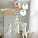 猫 おもちゃ 猫じゃらし 猫用おもちゃ ネコ ねこ 運動不足 ストレス解消 発散 ペット用品 一人遊び USB充電 電動 ドア取り付け 人気ネコ知育玩具 退屈解消 狩猟本能刺激 自動スイング