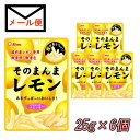 ライオン菓子　そのまんまレモン　6個セット　【追跡可能メール便送料込】【メーカー価格改定につき、現行価格は在庫限り】 その1