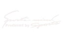 スポーツカーステッカー スポーツ sports 文字ステッカー EBSETMOJI