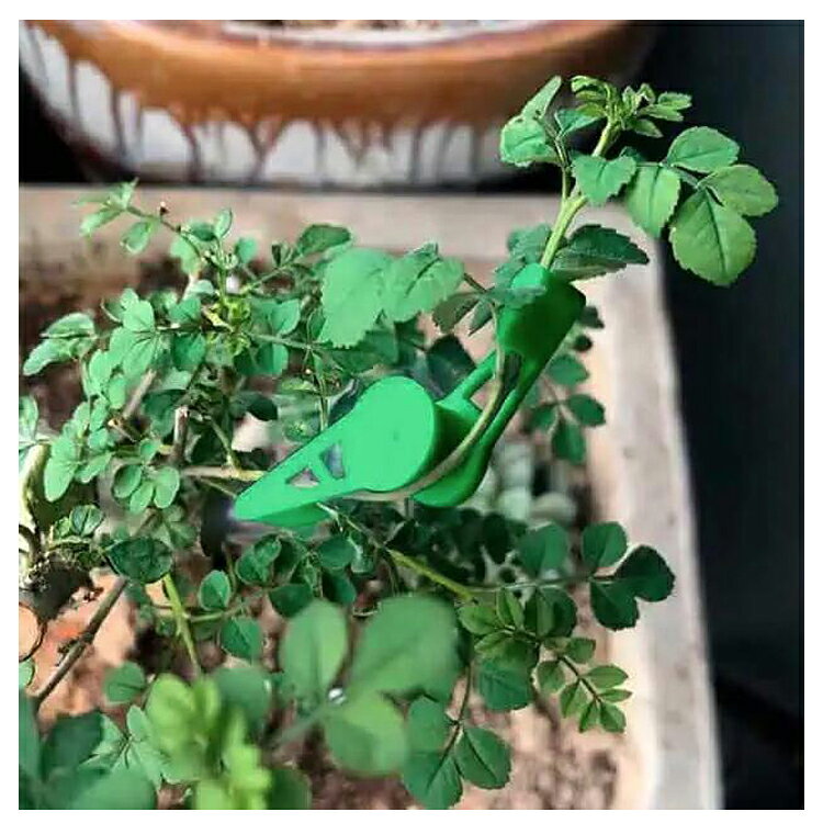 【10個セット】茎クリップ 角度調整可能 植物成長サポート 植物の枝や茎を曲げる ...