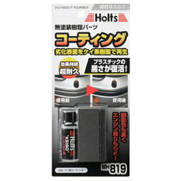 メール便可｜ホルツ/Holts ケイ素コーティング 樹脂の黒さ・ツヤ復元 MH819/