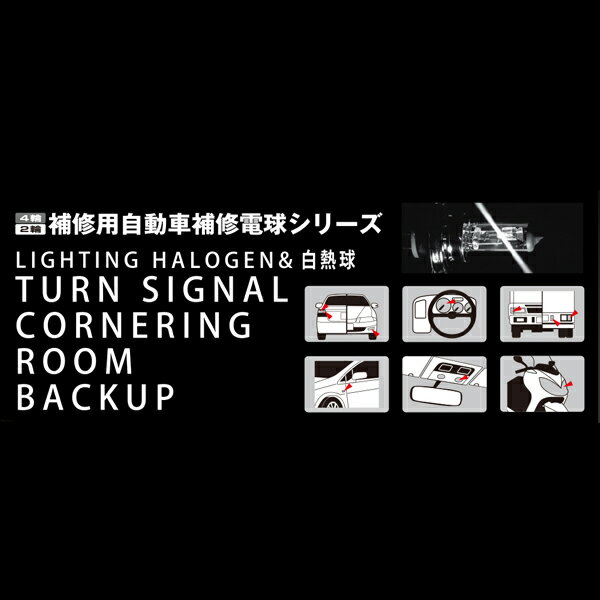 PIAA/�ԥ�����Ǯ�� ���ꥢ T20���󥰥� W3��16d 12V 21W �����󥫡�����/�Хå�����/�����ʥ�󥰥��� 2������/HR12