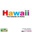 ϥ磻 ƥå Hawaii ϥ磻 DECAL700 W193H54mm  ϥ磻 USA ꥫ USDM/HID-HIS-010