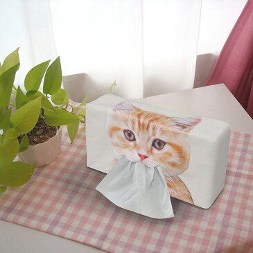 メール便可|ねこのティッシュケース 茶トラ ティッシュBOX ねこのしっぽの物語/明邦 ME323