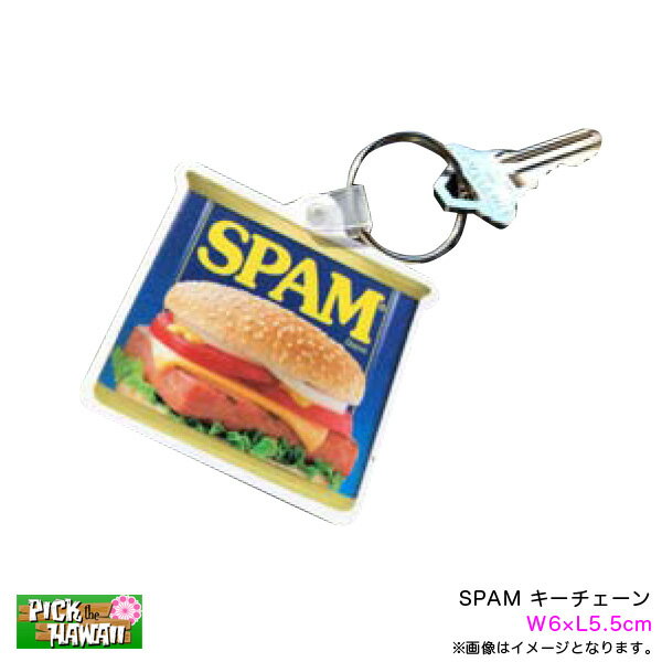 キーホルダー ローカルフード W6×L5.5cm ハワイ おみやげ スパム キーチェーン UT-KC-SPAM SPAM