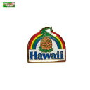 バッジ かばんやキャップ帽などに ハワイ お土産 ハワイアン ピンバッジ パイナップルレインボウ KC-PB-PNR PICK The HAWAII