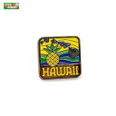 バッジ かばんやキャップ帽などに ハワイ お土産 ハワイアン ピンバッジ パイナップルアイランド BL-PB-PNI PICK The HAWAII