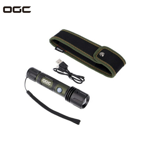 小型 軽量 ストラップ付 410lm USB充電可能 OGC ハンディライト 懐中電灯 アウトドア LED搭載 8621 エーモン/amon