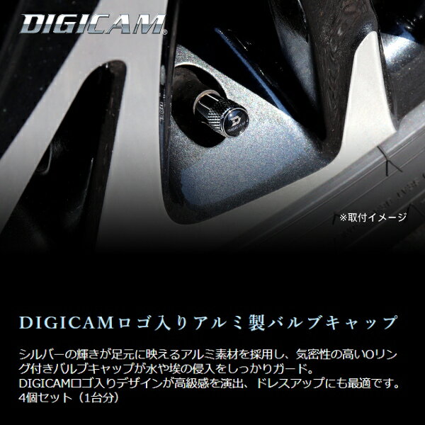 �������� �ϥ�������ƥ���������åȲù� DIGICAM ����ߥХ�֥���å� 4�ĥ��å� ABC-4P �ǥ������ �������ڥå�