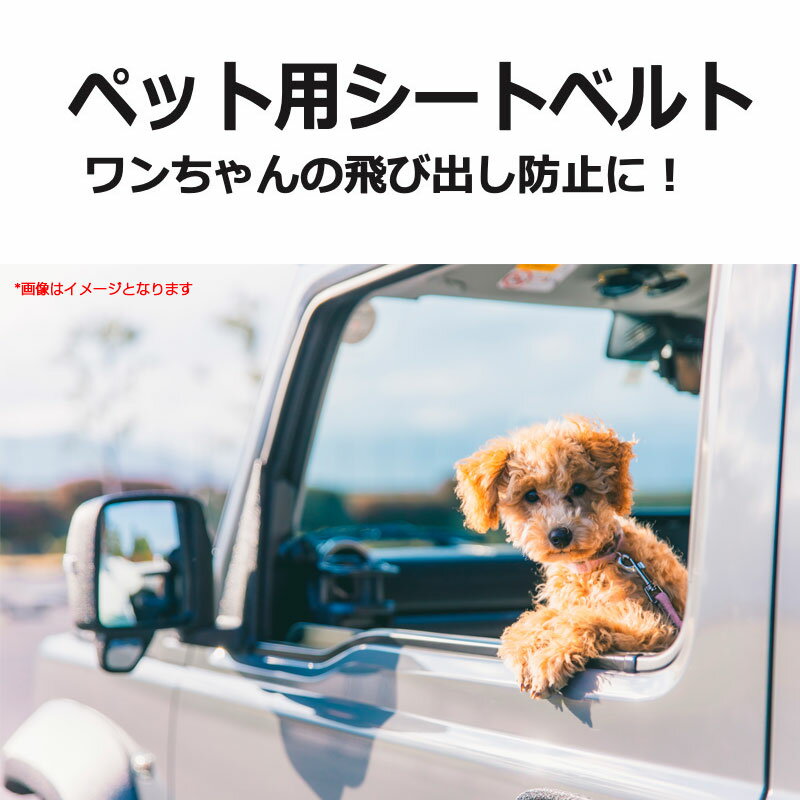 �������淿���� 38��62cm ���ӽФ��ɻߤ� �ڥå��ѥ����ȥ٥�� �ɥå� ǭ�Բ� �ϡ��ͥ������� �ϥ��ϥ� HH-1035