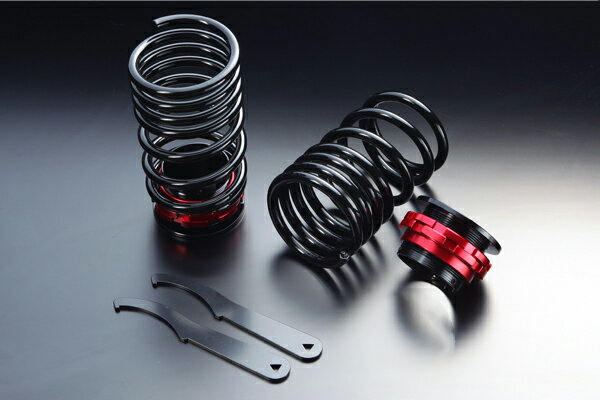 シュピーゲル/Spiegel リア車高調キット スズキ Kei HN11S/HN12S/HN21S 2WD/4WD装着可 RKS6