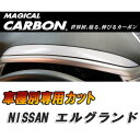 ハセプロ/HASEPRO マジカルカーボン メーターフード 日産 エルグランド E52 本カーボン仕様 ブラック CMFN-1